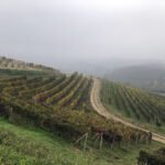 Piemonte-Hero