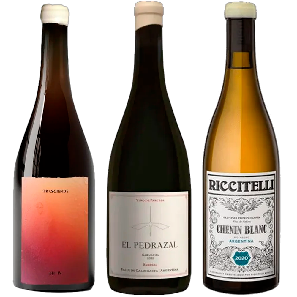 Selección Torrontés