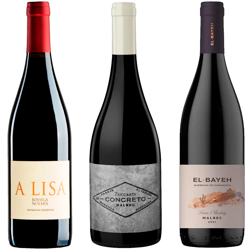 Selección Malbec de 3 regiones