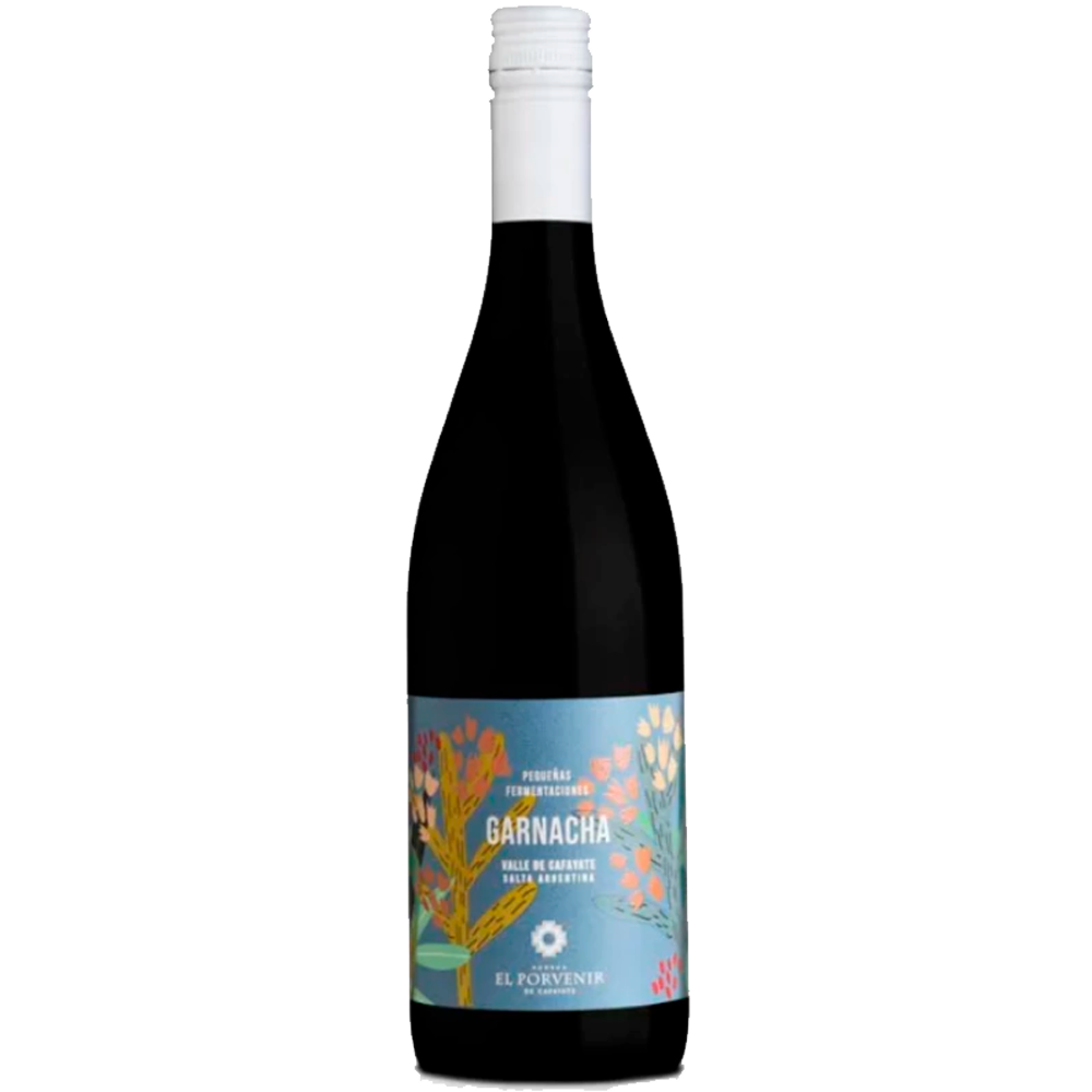 El Porvenir Pequeñas Fermentaciones Garnacha 2022