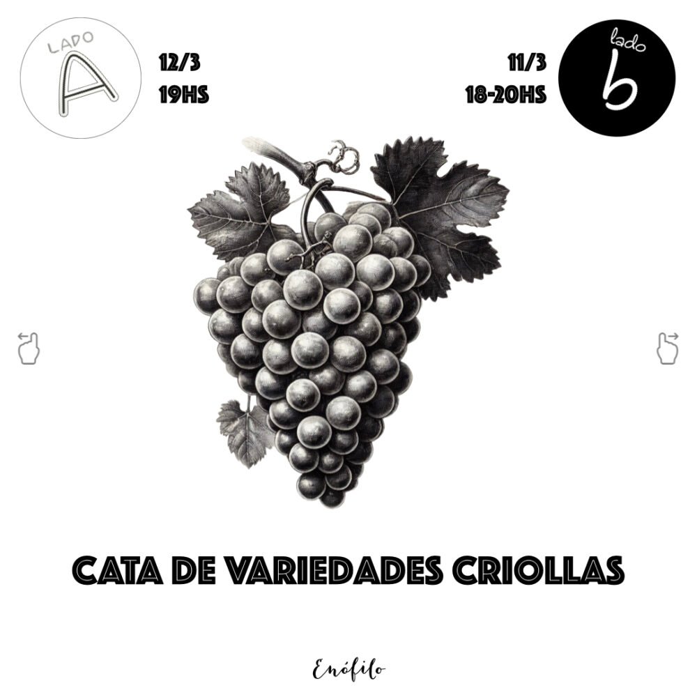 Cata de Variedades Criollas · Lado A · 12 de marzo