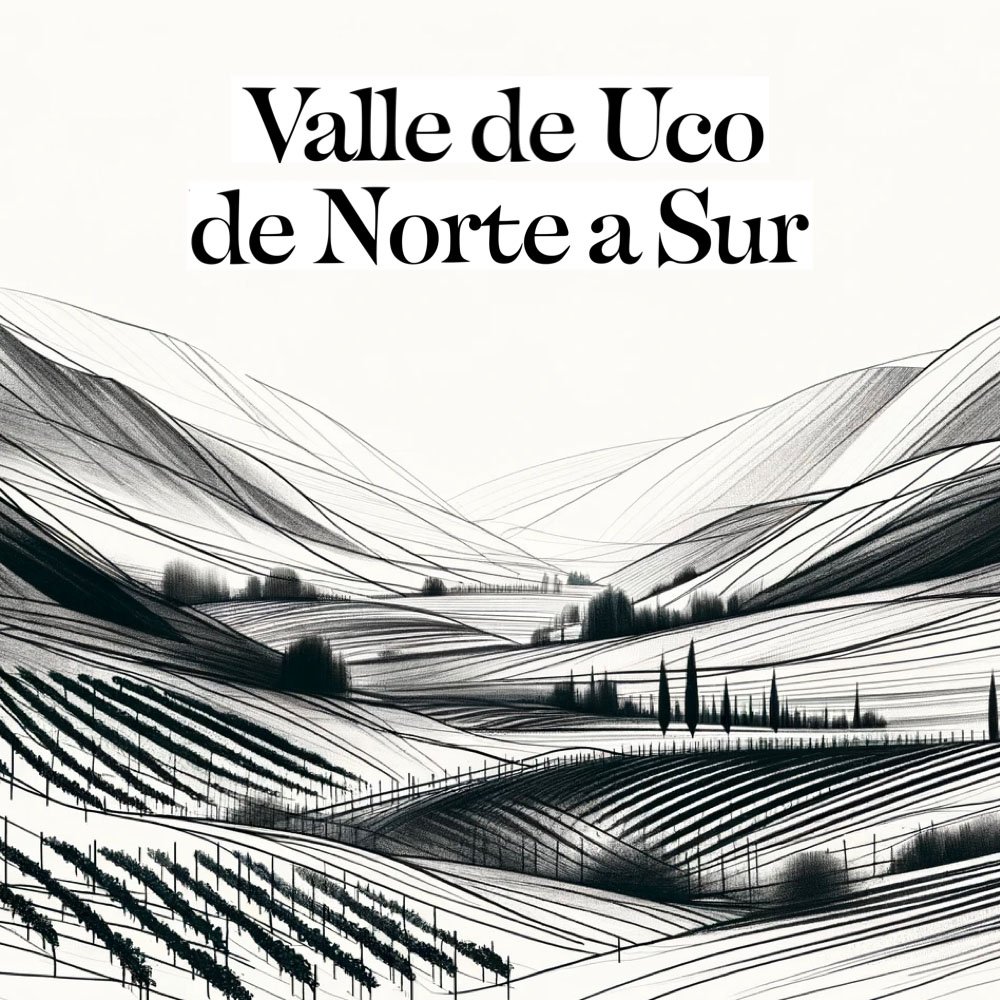 Cata lado b · Valle de Uco: de Norte a Sur · jueves 27 de noviembre