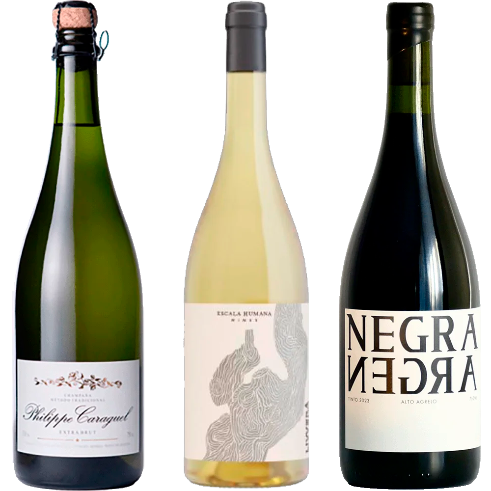 Selección Fin de Año I