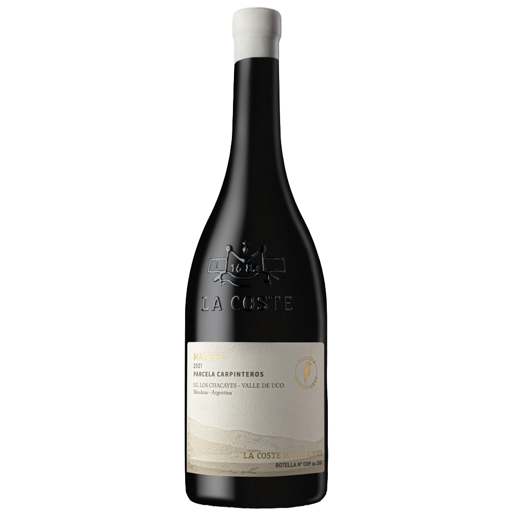 La Coste de Los Andes Carpinteros