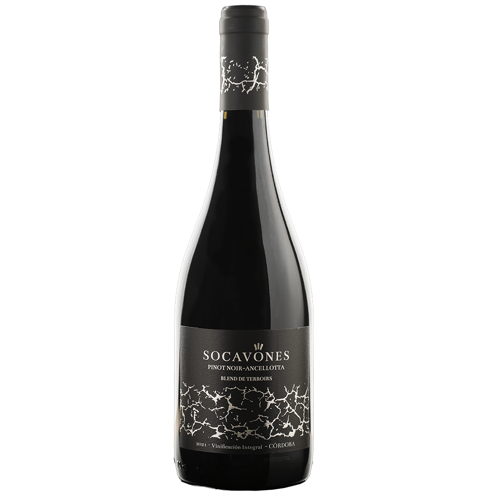 Socavones Blend de Terroirs Pinot Noir - Ancellotta 2022