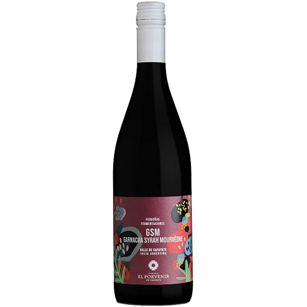 El Porvenir Pequeñas Fermentaciones GSM 2025